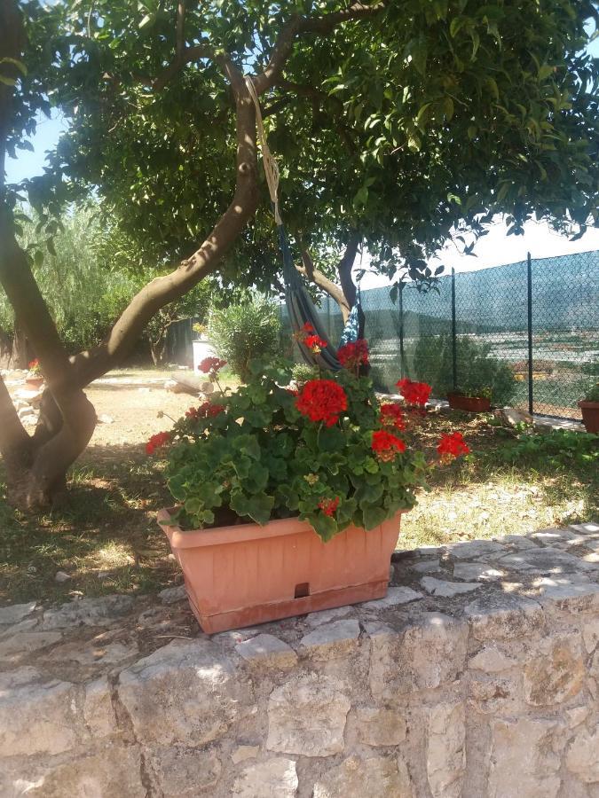 Appartamento In Collina Fondi Bagian luar foto
